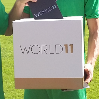 Votao para o World 11