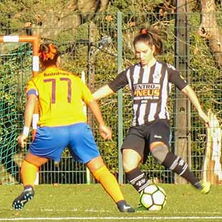 Impresses Digitais: Leila Tomaz (Lusitano de Vildemoinhos)